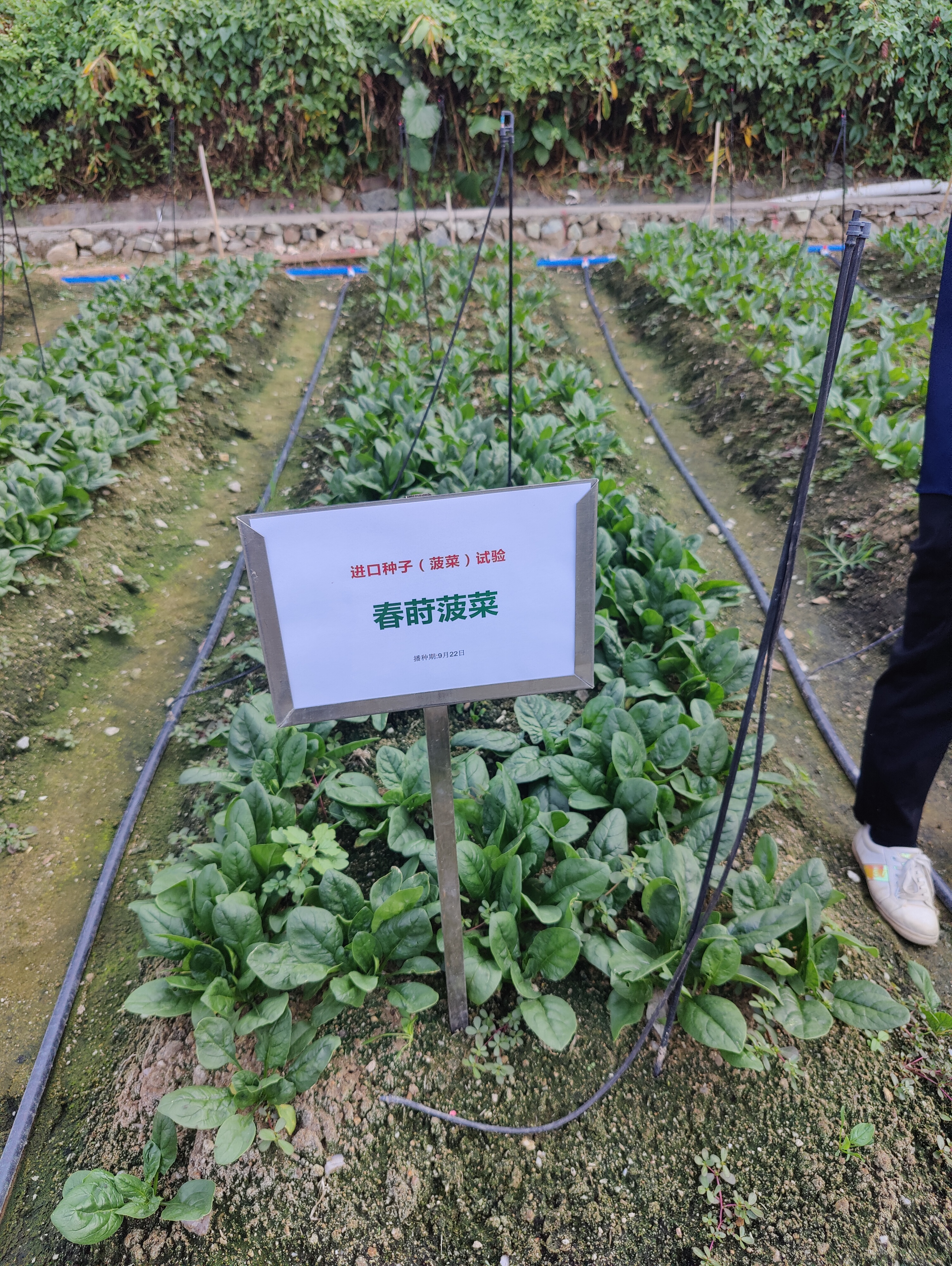 微信图片_20221031090000.jpg